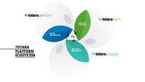Totara system ecosystem